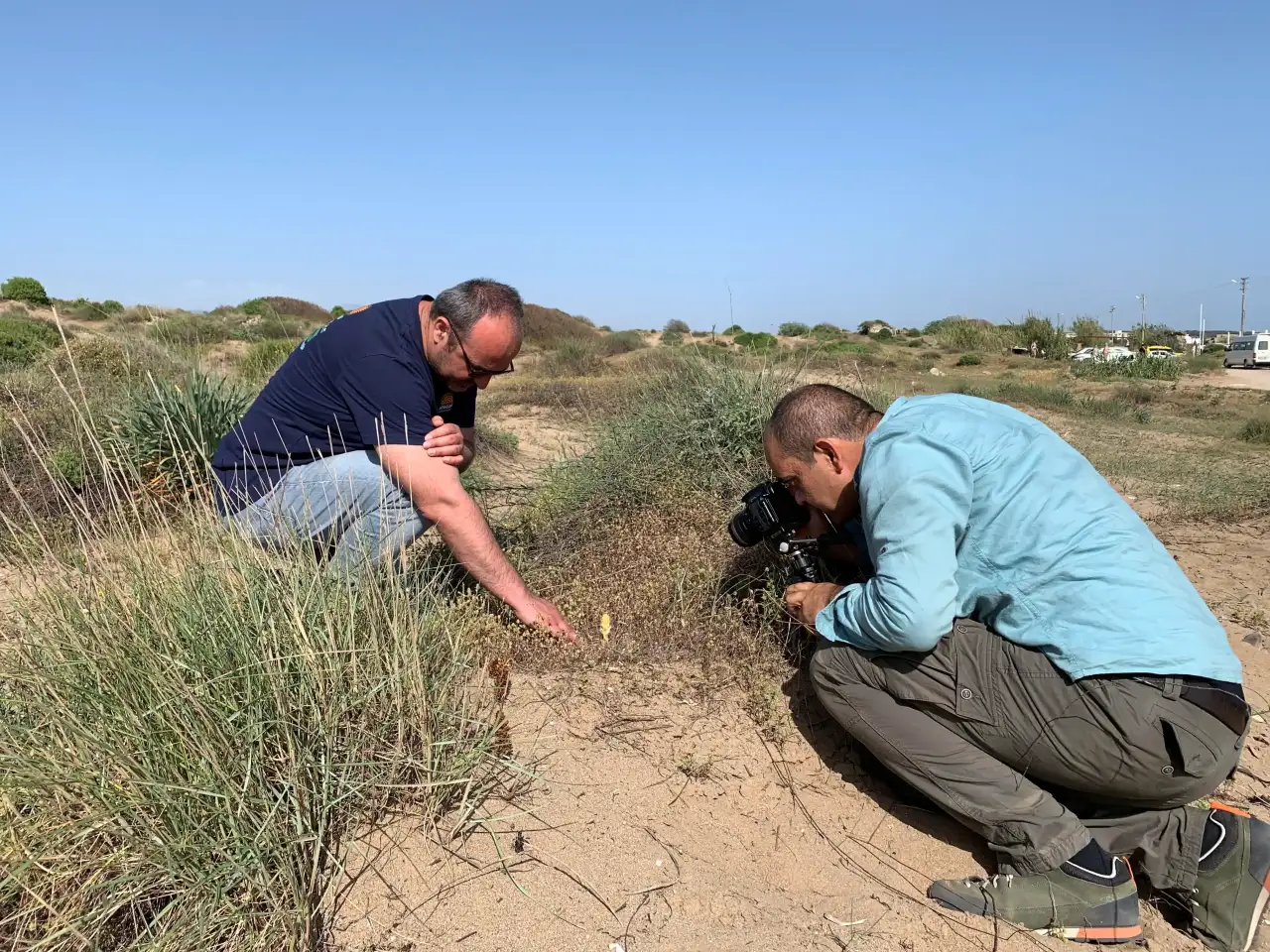 Antalya’nın Endemik Bitkilerini Koparmanın Bedeli Ağır 3